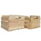 Wilson® Enterprises 8" x 7" x 5.5" Pine Handle Crates, 2ct.